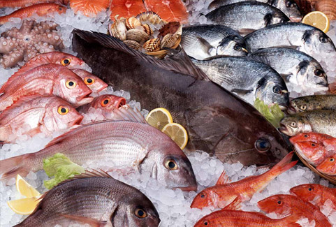 Купить рыбу | Магазин «Океан»